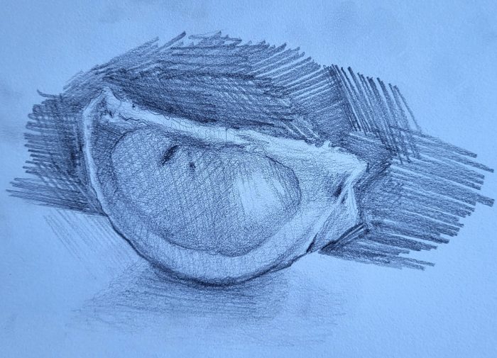 The Fundamentals of Drawing with Katy! - Image 4