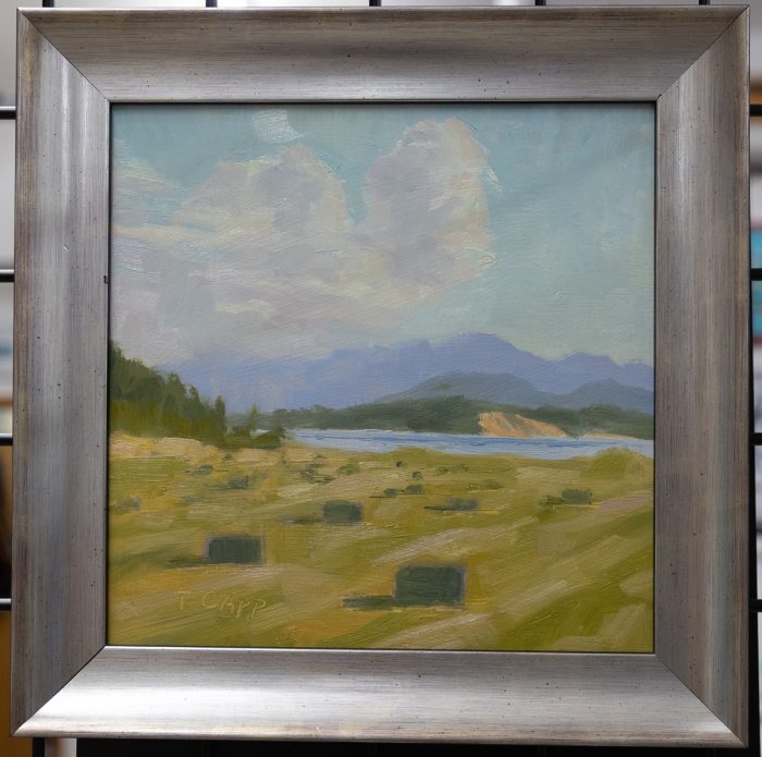Teri Capp - Island Pasture