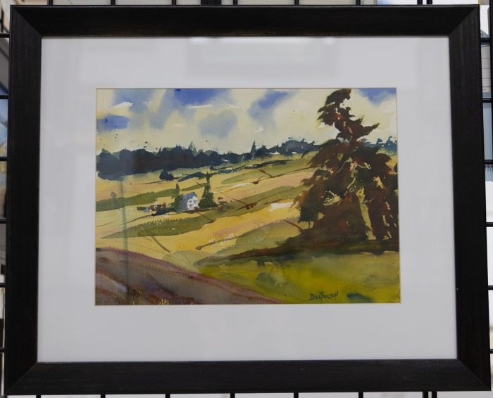Bill Fulton - Ebey's Prairie