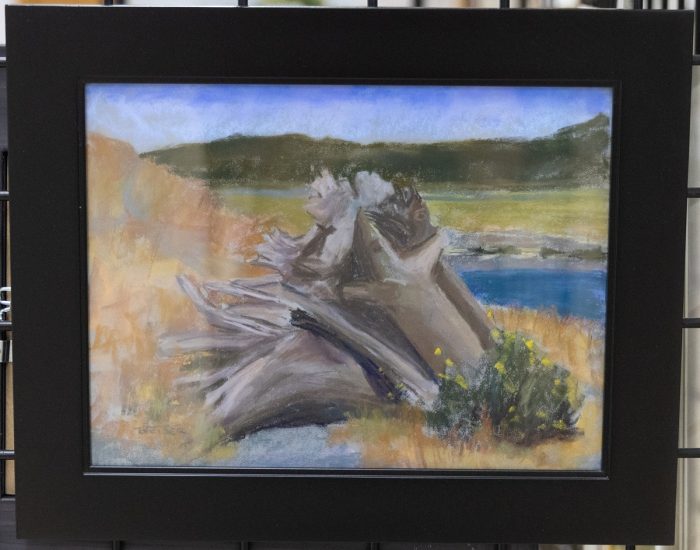 Sarah Weiser - Driftwood Boundary