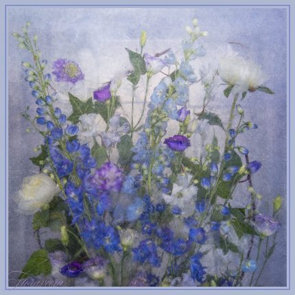 Photography in Your Life