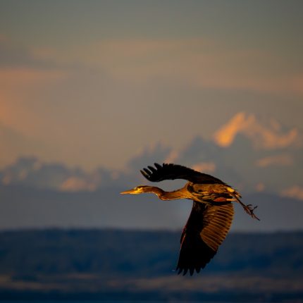 A Fine Art Photographer’s Workflow