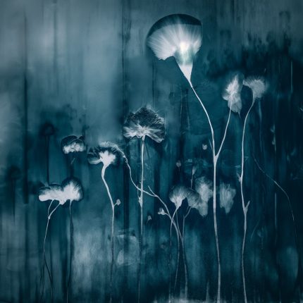 The Playhouse of Creativity