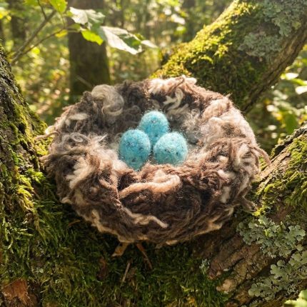 Completed- Nest Sweet Nest