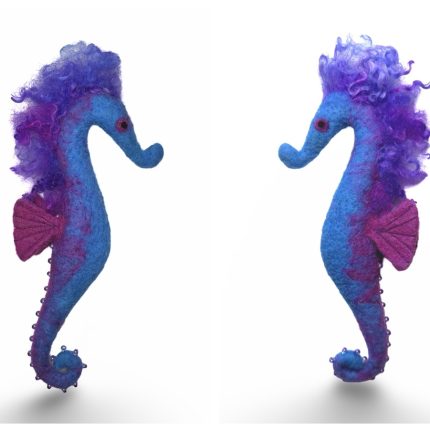 Completed- Seahorse Magic